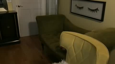 Cach Nelson online show from October 31, 8:15 am