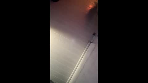 theonlyboi43ver online show from December 27, 8:35 am