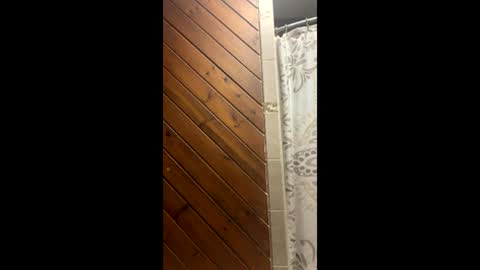 theundertaker1269 online show from April 2, 4:53 am