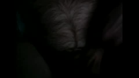 thick9dtf online show from November 7, 4:04 am