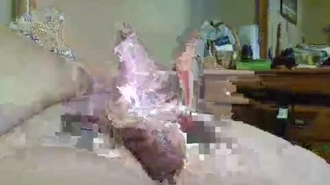 thickcurve79 online show from April 1, 11:00 am