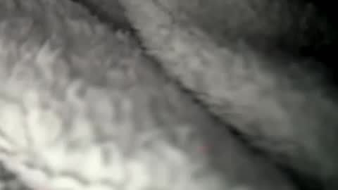 thickuncut7148704 online show from February 7, 9:16 am