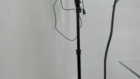Thom online show from May 6, 11:49 am
