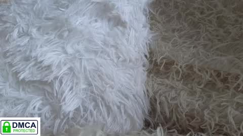 Snapshot of tia_j chatting on January 16, 11:58 am tia_j online show from January 16, 11:58 am