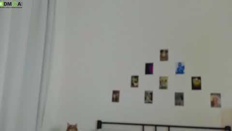 tiffany online show from November 19, 10:30 pm