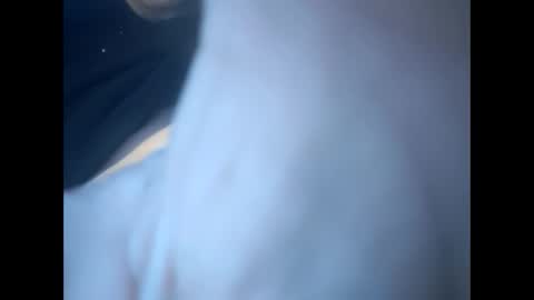 tigers26261022 online show from March 3, 2:47 am