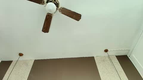 T I F F A N Y online show from March 6, 8:52 pm