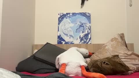 Snapshot of timveret chatting on February 9, 8:02 pm Wizard online show from February 9, 8:02 pm