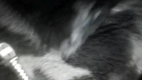 tinytittiexx online show from February 16, 4:38 pm