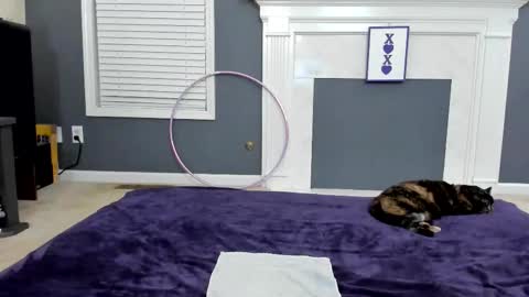 V - Read the bio please thanks. online show from February 28, 12:14 am