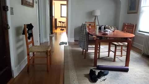 Joe online show from October 30, 2:17 pm