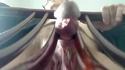 TKSnoopy online show from February 10, 4:48 am