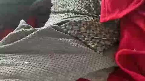 Tom online show from January 9, 1:35 pm