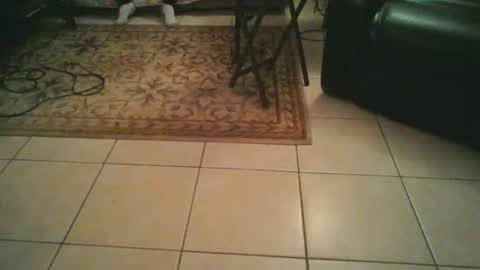 sirmuggsalot online show from March 20, 7:02 am