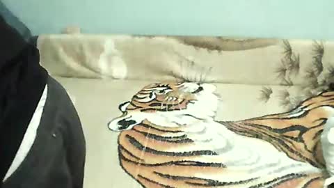 Tomek online show from December 31, 5:18 pm