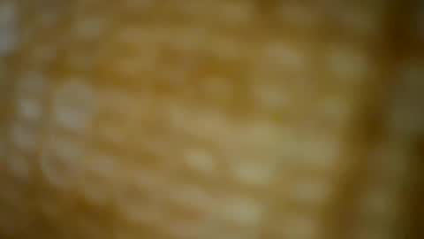 tomtresor online show from December 17, 5:14 am