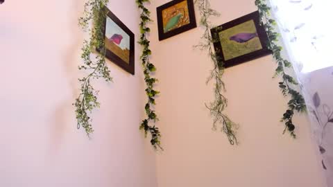 tonny_collins online show from November 30, 7:21 pm