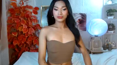 toptrans venice online show from April 11, 7:13 am