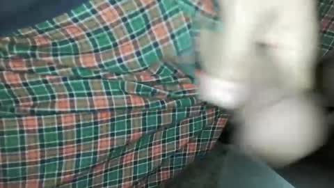 Daddy Edgalot online show from January 14, 7:06 am