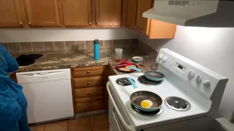 TreeJeanne online show from September 26, 9:39 am