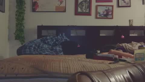 Trina Tushy Deluxe online show from March 9, 6:28 am