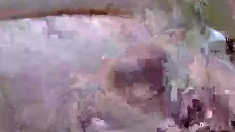 troy1965 online show from April 19, 5:30 am