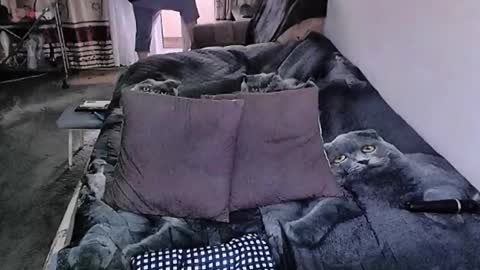 Lana online show from March 7, 2:11 am