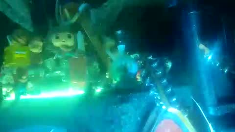 twe4kseeker online show from October 20, 4:17 am