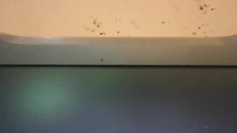 twiinsoul online show from January 1, 3:23 am