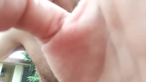 Aldo rasid online show from November 23, 5:33 pm