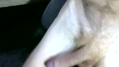 uncut7half237495 online show from November 7, 5:15 pm