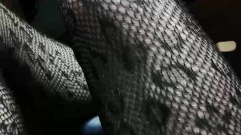 patricia online show from September 22, 12:59 am