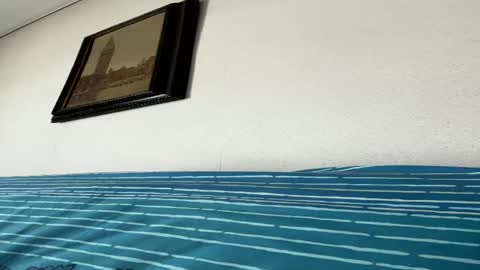 valiginely online show from April 24, 11:45 am