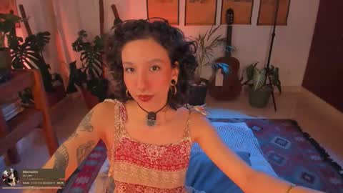      online show from December 5, 11:56 pm