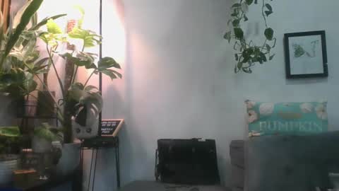 vanessa__foxx online show from February 26, 12:38 pm