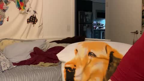 Vanessa  online show from December 15, 2:07 am