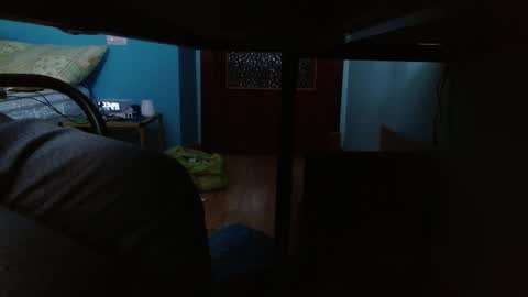 vegeta_ssj online show from December 21, 2:29 am