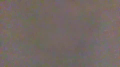 vent699vent699 online show from April 10, 8:08 am