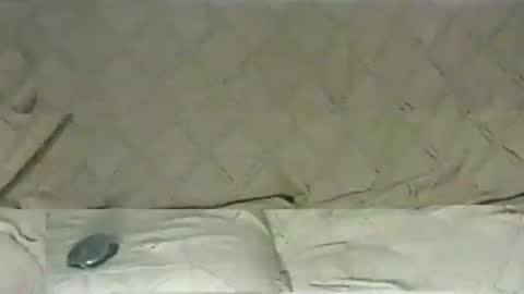 ventura50 online show from March 6, 8:30 am