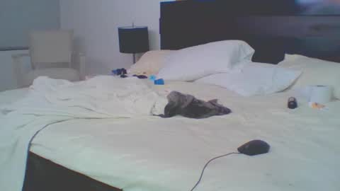 vergagolosa22 online show from February 7, 5:54 am