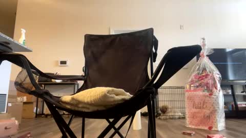 Snapshot of victoryd007 chatting on February 22, 7:25 pm victoryd007 online show from February 22, 7:25 pm