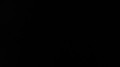 Daniela online show from January 19, 8:46 am