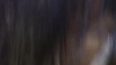 Snapshot of violetsweet_cs chatting on October 14, 10:35 pm violetsweet_cs online show from October 14, 10:35 pm