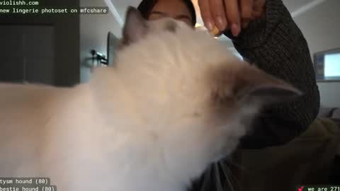 follow me on twitter violishh and ig violishh  online show from February 18, 8:14 pm