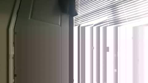 vvlk2112 online show from November 23, 12:36 pm