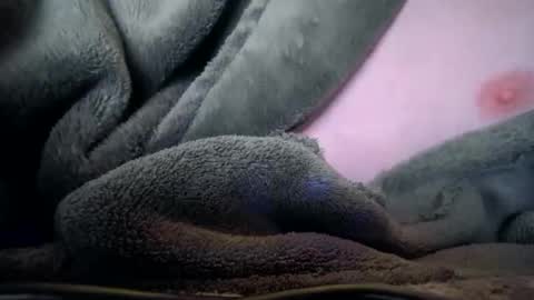 wallsend74 online show from January 7, 2:38 am