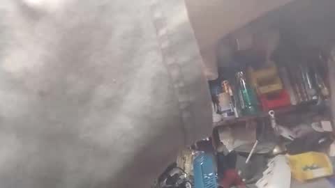 Snapshot of wantmycock75582167 chatting on October 2, 10:58 am wantmycock75582167 online show from October 2, 10:58 am