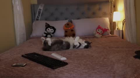 Snapshot of wayuu_goddess chatting on October 5, 6:59 pm Wayuu Goddess  3 online show from October 5, 6:59 pm