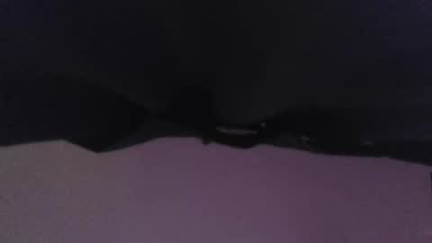 seabee. online show from October 17, 7:23 am