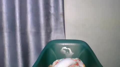 wetfatpussy_ online show from February 19, 7:35 pm